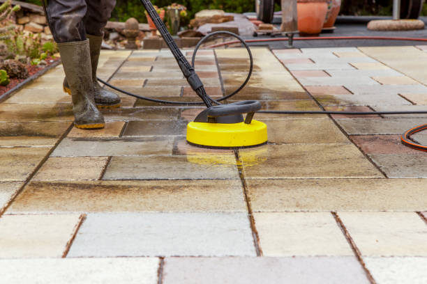 Best Solar Panel Cleaning  in Lamesa, TX