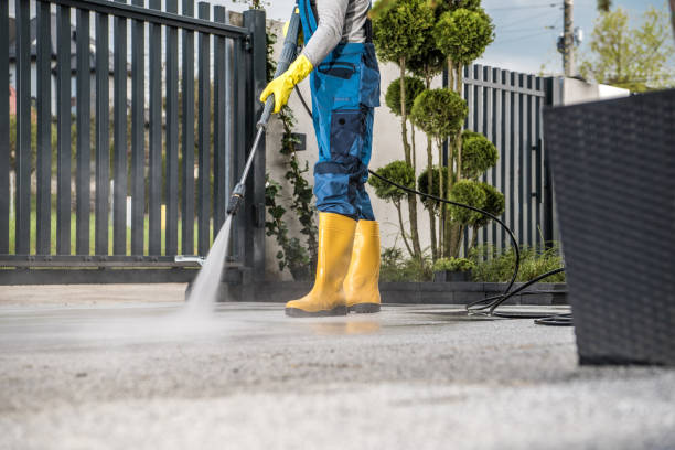 Best Driveway Pressure Washing  in Lamesa, TX