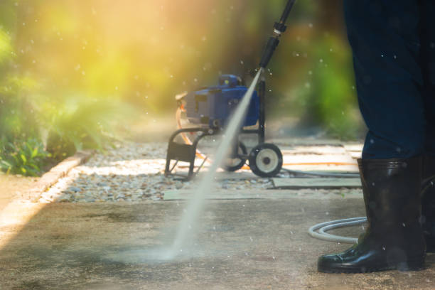 Best Soft Washing  in Lamesa, TX